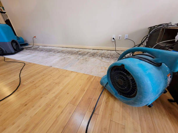 Professional Water Removal technician working in Huntington, NY